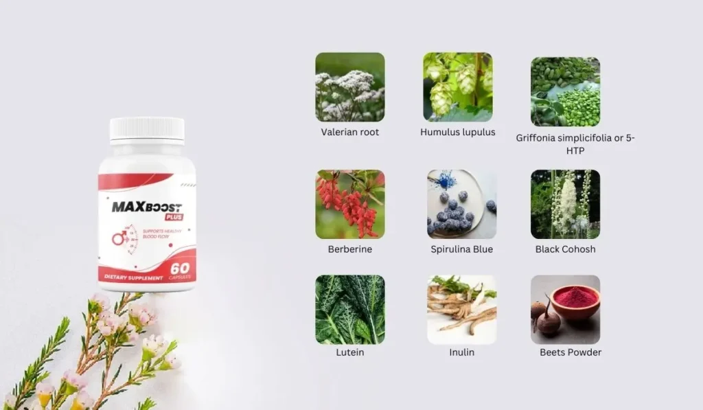 MaxBoost Plus Ingredients