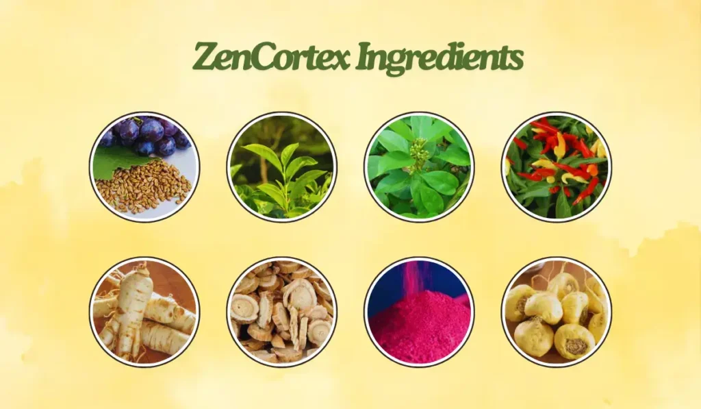 ZenCortex Ingredients