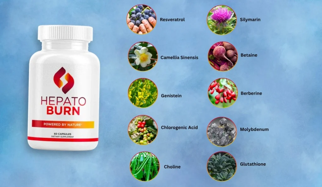 l HepatoBurn HepatoBurn Ingredients