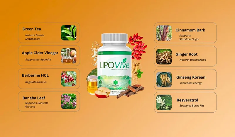 l lipovive reviews lipovive ingredients