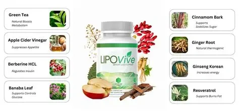 lipovive ingredient
